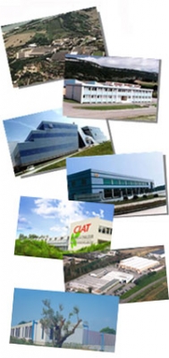 Company profile